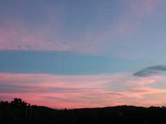 [뷔랩] 서정의 피네