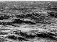 최윤화평 ｜ 겨울비행