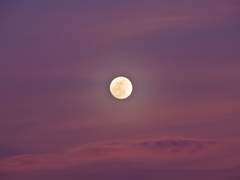 그래, 그런 일도 있었지.