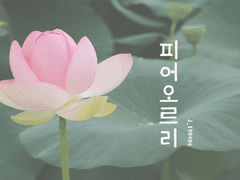 [하루사와] 피어오르리