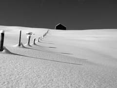 모두가 움직이는 세상에서.