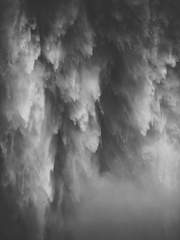 Snorri Guðmundsdóttir