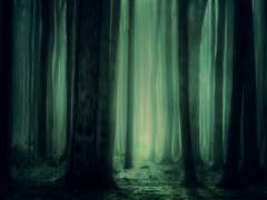 루드 티모시 아이베르크의,