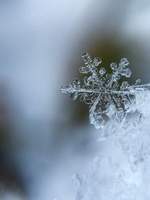 [타입문/금검] 상냥한 꿈에 그대를 묻고