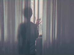 부용꽃 스물일곱송이가 붉게 떨어지니 달빛서리에 차갑기만 해라