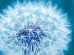 [중혁독자]相亲相爱