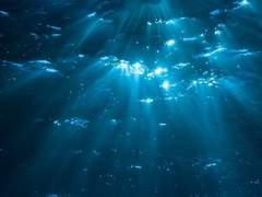 무명서련 04. 침전