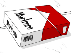 징켄스담의 바다 2