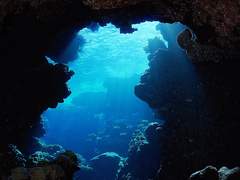 흉터는 새 살이 돋은 자국이잖아