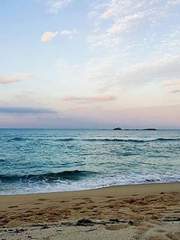 원피스/2차/기타