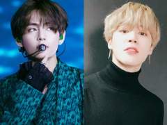 퍼스널 컬러 코디네이터 김태형