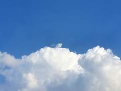 포스타입 공지(2020.10.01수정)