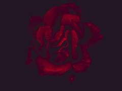 ✦ 다가오지 말아요!