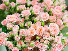 위치와 위저드, 그리고 페어리