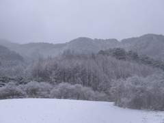 사신 설화 (四神說話)