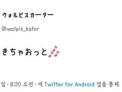 2019.11.06 월피스 카터 트윗 번역