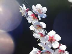 행복할 앞으로에 영원을 담아