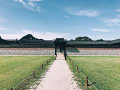 동양풍 베른플란