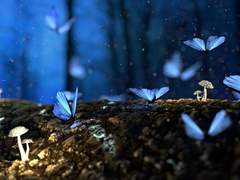 닥스토니 - 그 탑에는 용과 기계공이 산다 4