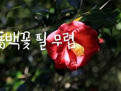 동백꽃 필 무렵