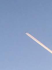 꿈에서 죽다 잊혀진 것들의 추모식