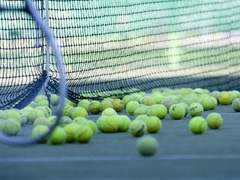 조지 팔코너 다이어리(7)