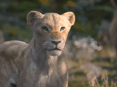 '전소연'과 '(여자)아이들'이 되려 하는 사자(獅子, LION)