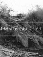 합법해적 파르페