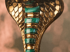 Snake memory (뱀의 기억) - Prologue