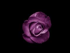 가장 빛나야만 하는 것