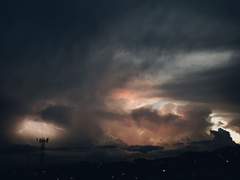 [토니피터] Kill Your Darlings 11