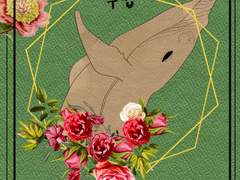 11월 Top Secret 배포본, 어느 비행사의 수첩.