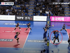 11.10(일) 16:00KOVO여 흥국생명 vs IBK기업은행