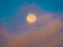 (정우서현) 환상 속에서 빛이 되어 #3