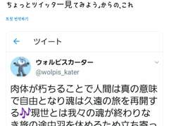 2019.11.10 월피스 카터 트윗 번역