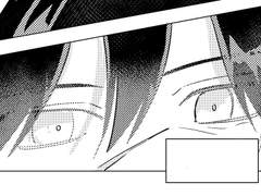 [주광성/走光性]