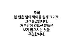 뱀 밥먹는 만화 - 먹이 종류