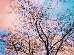 그대에 대하여, 01