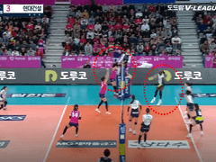 11.13(수) 19:00KOVO여 현대건설 vs 흥국생명