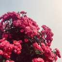 나와 나의 문제들