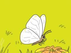 주위를 살피면 보게 되는 것들