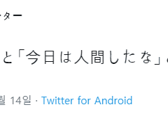 2019.11.14 월피스 카터 트윗 번역