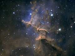 비로소 아는 것들