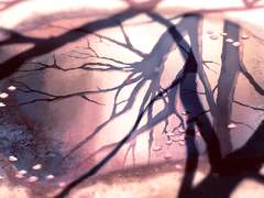 후궁계약 │ 영성신린 가야