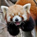 세성길드알바생