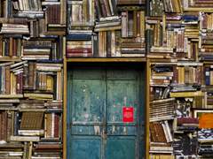 Paradise Cocktail 후기