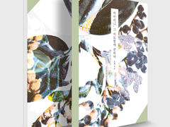 아이러니, 그 미묘함에 관하여