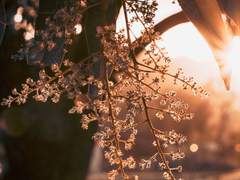 2019. 11. 17 [Truth or Dare]