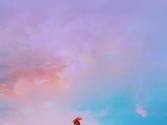 스타의 코디가 된다는 것 2화