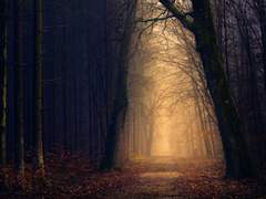 항복할 자는 순순히 무기를 들어라.